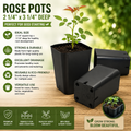 100 Rose pots 2 1/4" sq x 3 1/4" Deep Seed Starting Black Durable reusable